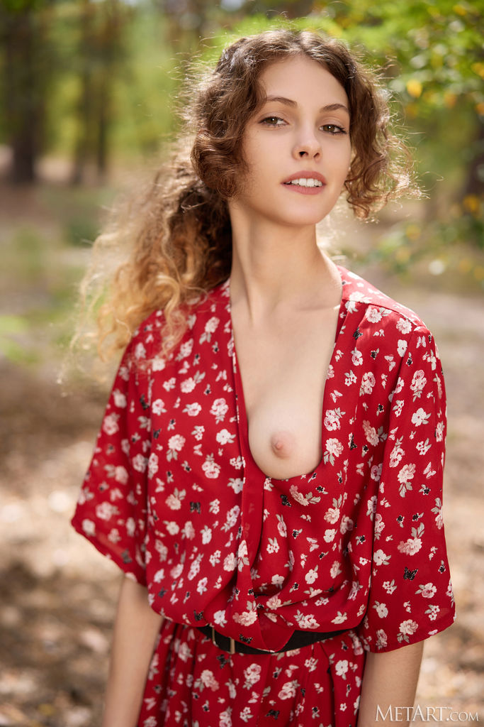 Lisa Bon In Woodland Walk - Photo 02