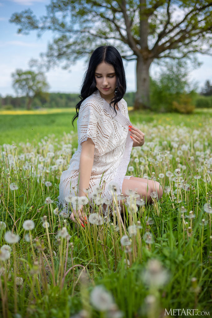 Sasha Jane Unveils Her Curves To Morning Sun Amid Wildflowers - Photo 00